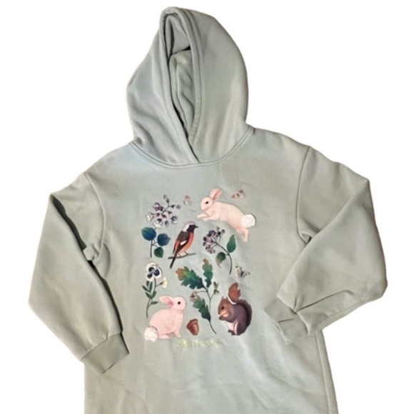 Whooli Chen x H&M Girl’s Mint Green Bunnies Woodland Hoodie Size 5T/6 - Picture 11 of 11